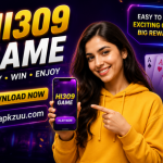 HI309 Game